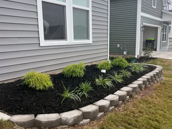 A curved stone border edging a mulch bed planted with ornamental grasses.