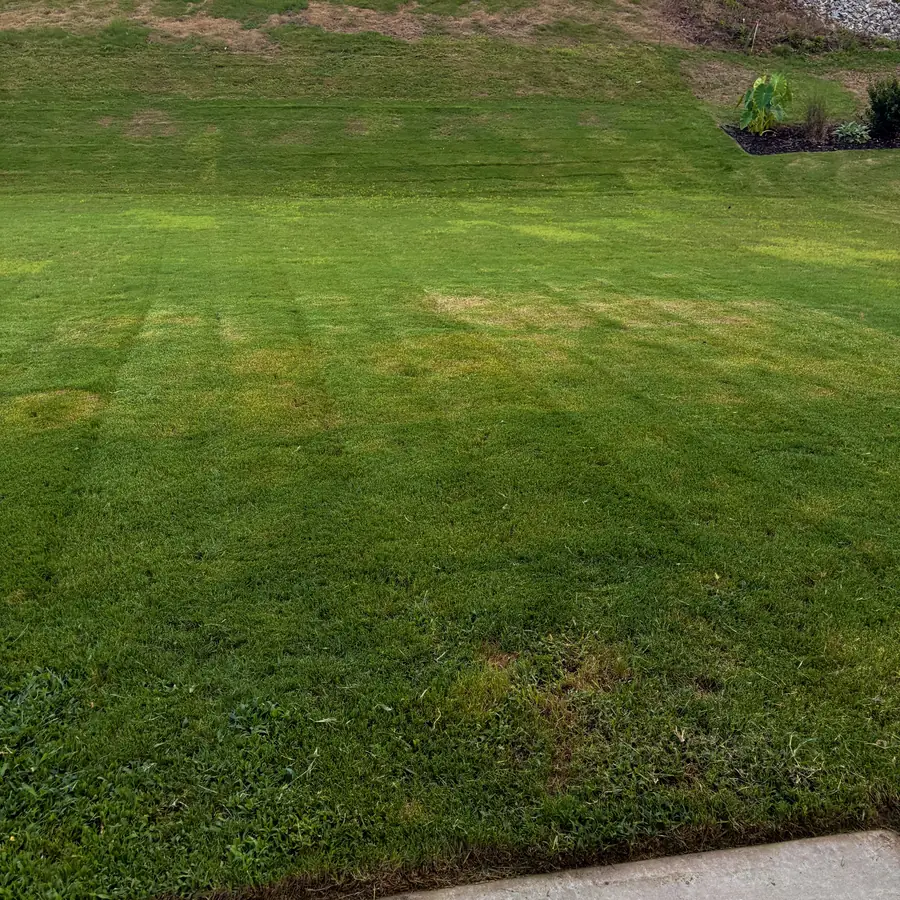 After: the sloped lawn cut level with even mower stripes across it.